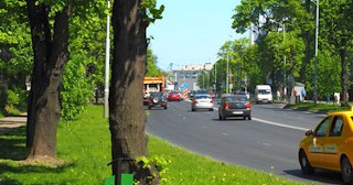 Посадка деревьев и кустарников в Белорецке — стоимость от 1216 руб.